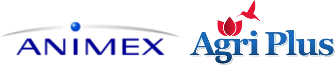 Animex